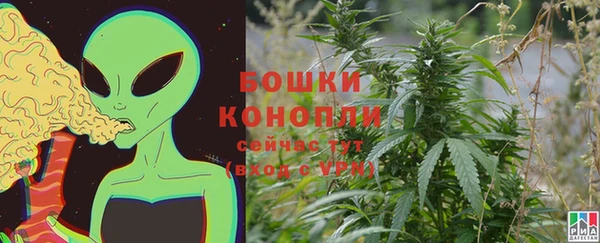 ешки Ельня