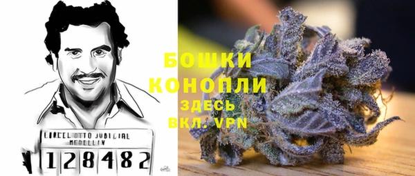 ешки Ельня