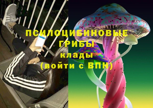 а пвп мука Елабуга